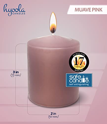 Hyoola Mauve Pink Pillar Candles 2X3 Inch - 4 Pack Unscented Pillar Candles Bulk - European Made #TOP2