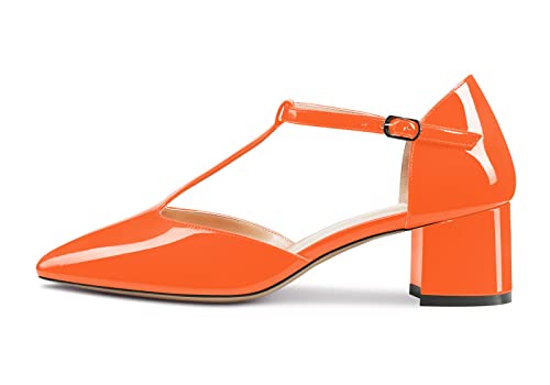 Aachcol Women T-Strap Mary Jane Pumps Two-Piece Shoes Chunky Block Mid Heel Pointed Toe Ankle Strap Dress 2 Inches2