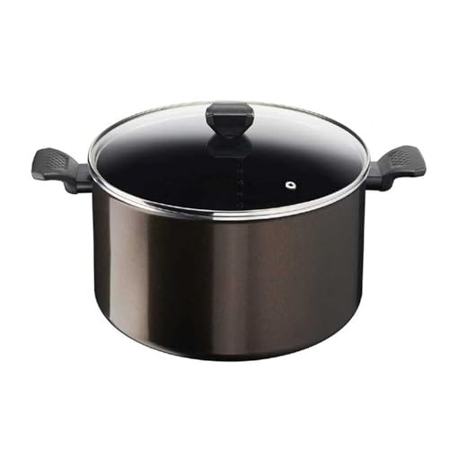 TEFAL B5546902 EASY COOK&CLEAN MARMITE 30CM, Anti-adhésif
