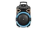Fisher Bluetooth PA Stereo Speakers System-Karaoke Portable Wireless DJ, 12' 80W Peak Power, Loud HD Sound & LED Lights, Rechargeable, TWS, Equalizer, MIC Input, FM Radio, Indoor/Outdoor Party