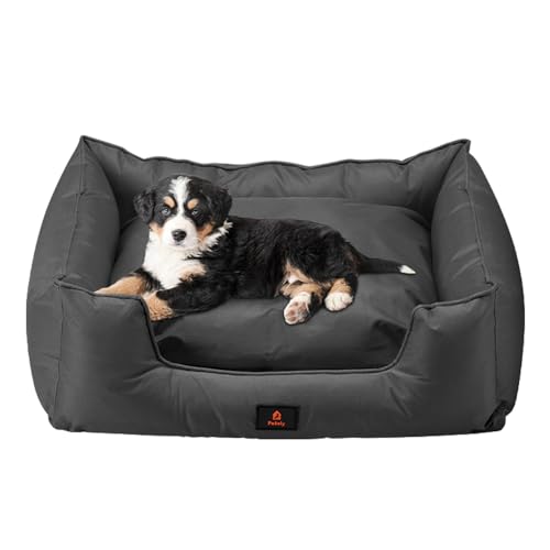 outdoor dog beds