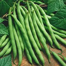 25 pezzi di semi di peperone ibrido jalapeño