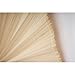MadeTerra S Bamboo Fan Wall Decor | Bamboo folding fan Wall| Beautiful Wall Home Decoration XL size: 43 x 63 inch (XL size: 43 x 63 inch)