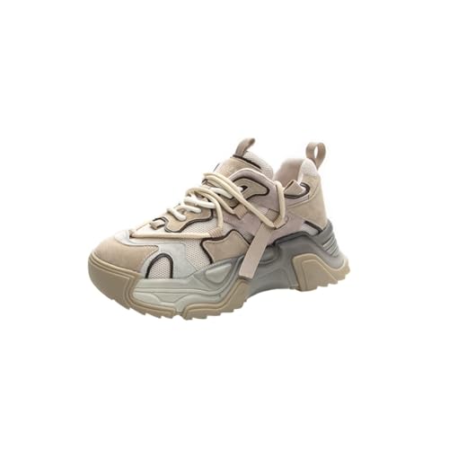 fB[XU[̌\[pp̌CprF̓bV̓C̖hLWAX|[cCubN܂ (JL,24.0 cm)