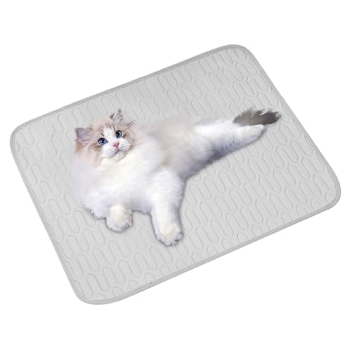 Esterilla refrescante - esterilla autorefrigerante | Esterilla refrescante portátil de seda de hielo para mascotas, cama para cachorros, esterilla para perros y gatos, mascotas mayores y pequeñ