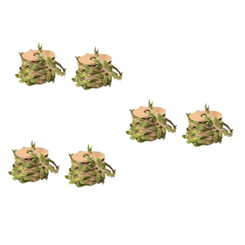 BUGUUYO [6 V~[Vt Diy̔L ̌. L̃[v LuV Lbgjbv L̏ Lbgi`[v LEH[VFt L~ ybg