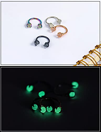 Ftovosyo 4Pcs Dragon Claws Circular Horseshoe Barbell Surgical Steel Nose Septum Rings Hoop Daith Earring Helix Vertical Lip Piercing Jewelry for Women Men2