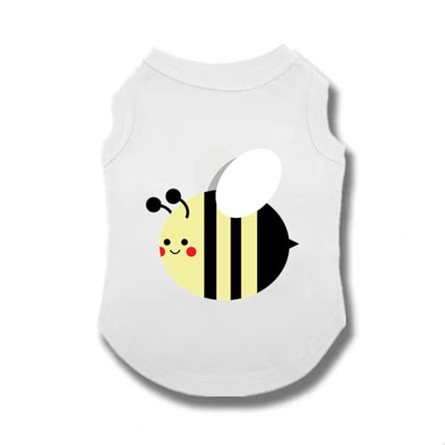 [XZVGJ] ybg XXL  tVc Ȑ Ȃ ʋC t H _炩 Vc L  킢 ^ ^ pW} Lm _炩 ̕ Ȃ lC  t@bV  ʋC ₩