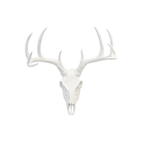 Near and Deer Faux Taxidermy Deer Skull Wall Mount, White, BS0101, 20.75" x 13.00" Cover
