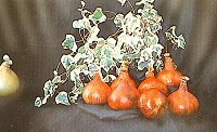 Exhibition Vegetable - Robinsons Mammoth Red Onion - 100 Seeds