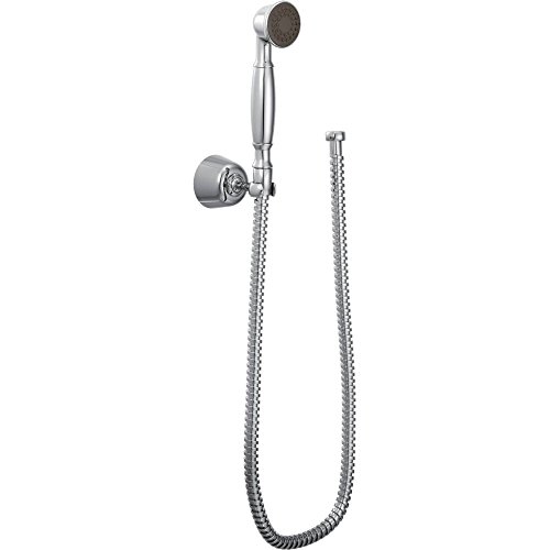 Moen 3861EP Regadera de mano 2" eco 69" manguera cromo
