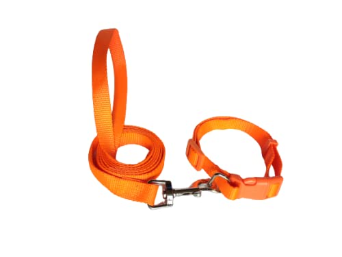 RvPaws Leash and Collar Adjustable Set Suitable for Puppies of All Dog Breeds (Orange, X-Small 10MM) (B09J29BZG5) Amazon Price History, Amazon Price Tracker