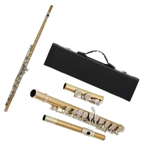 �t���[�g �����t���[�g 16 �� C �L�[ �؊Ǌy�� E �L�[ �{�b�N�X �O���[�u �p�[�c & �A�N�Z�T���[�t��(Gold Silver Flute)