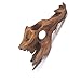 Porous Natural Driftwood for Aquarium, Aquascaping Driftwood with Holes, Hand-Selected Tunnels & Hideouts, Aquascaping Hardscape, Terrarium Reptile Décor, No Paint or Resin(8-12