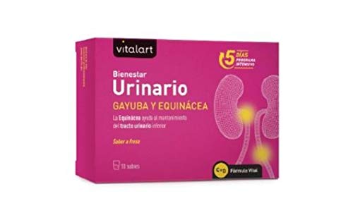 VITALART Bienestar URINARIO 10sbrs Cover