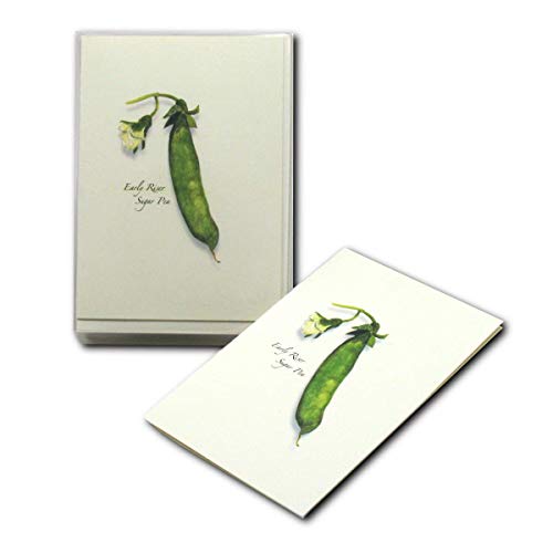 Image of Earth Sky + Water - Heirloom Pea Notecard Set - 8 Blank Cards with Envelopes