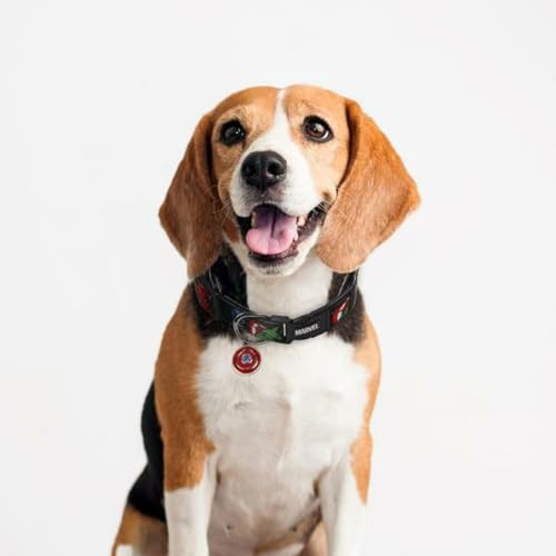 CERDÁ Life's Little Moments - Marvel Hundehalsband Kleine Hunde | Marvel Halsband Mini Hunde Offizieller Lizenz, XXS-xs