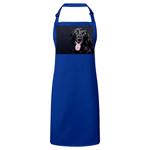 Tablier cuisine bleu Labrador Noir gros chien mignon pour protection vêtement cuisine