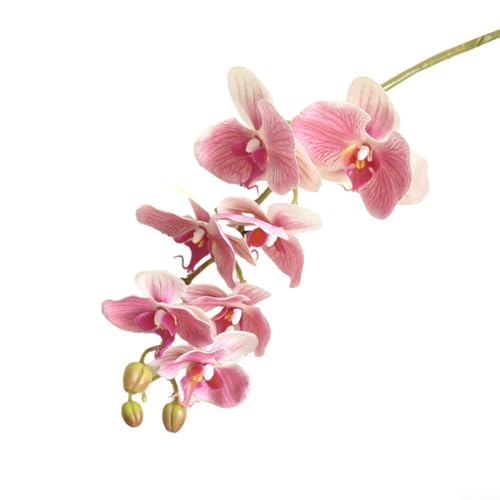 Tallo de flores artificiales de orquídea Phalaenopsis simulada con flores grandes y medianas para decoración de pared del hogar de boda (rosa claro)
