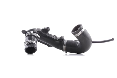 RIDEX 3314C0378 Durite de turbo Compatible avec RENAULT Clio III 3/5 portes BR0/1, CR0/1