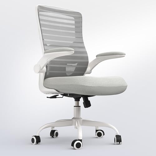 QLTPLUS Office Chair Light Gray