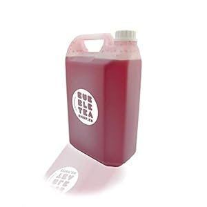 Fruitsiroop voor Bubble tea Kers | Fruit syrup Cherry (1000 g)