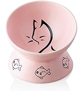 SWEEJAR Raised Cat Bowl for Dry Wet Cat Food, Ceramic Elevated Pet Bowl Cat Dish, Protect Cat's S...