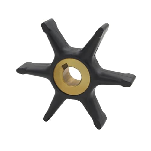 Turbine de pompe à eau hors-bord pour réparer la surchauffe moteur 4 CV