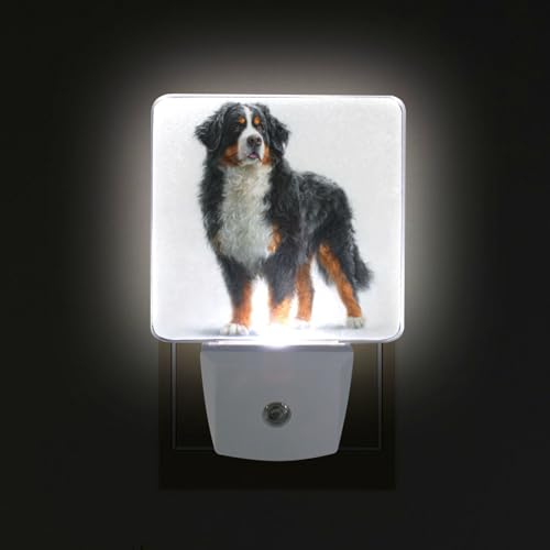 Lámpara nocturna LED para niños con sensor crepuscular miniatura 3