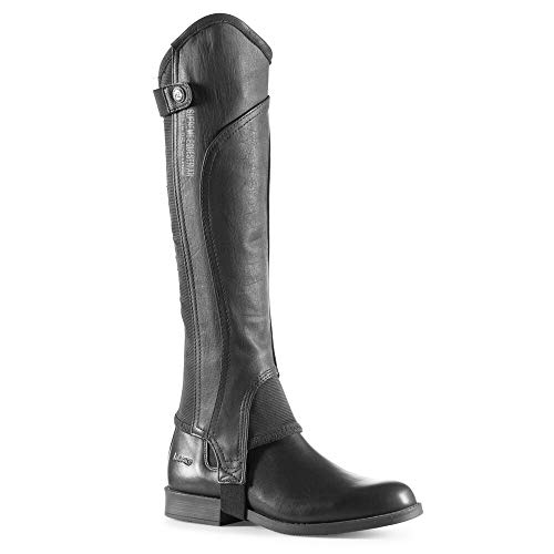 HORZE Quinton Leather Half Chaps - Black - M