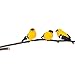 Gallerie II Goldfinch Christmas Xmas Ornament A/3 Multi