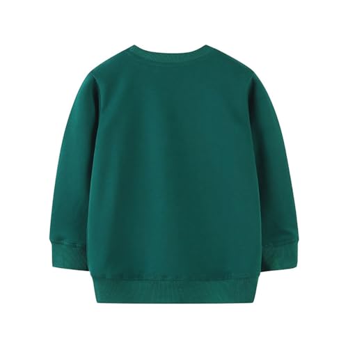 Boys Sweatshirts Long Sleeve Sweatshirts T-shirts Crew Neck Cotton Casual Sweatshirts Cartoon Tops for Boys-992