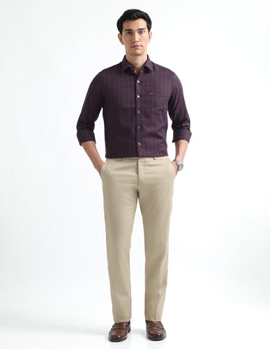 Image of Arrow Checked Slim Fit Mens Formal Shirt - Cotton, Breathable & Comfortable, Full Sleeves Shirts for Men