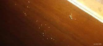 Review Image by BranRose-Yates BranRose-Yates