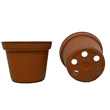 50 New 3 Inch Plastic Nursery Pots  Pots are 3 Inch Round at The Top and 2.25 Inch Deep. Color Terracotta