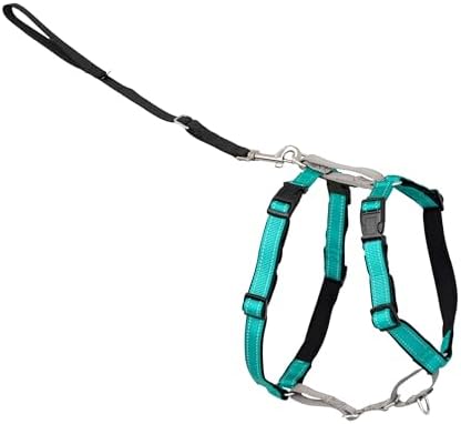 PetSafe 3-in-1 Harness - Comfortable Easy-Walk Dog Chest Harness ...