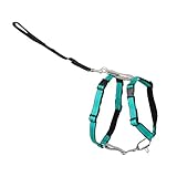 PetSafe 3 in 1 Dog Harness - No Pull Solution for Dogs - Reflective Dog Harness - Front D-Ring Clip Helps Stop Pulling - Comfortable Padded Straps - Top Handle Enhances Control - Teal - Medium