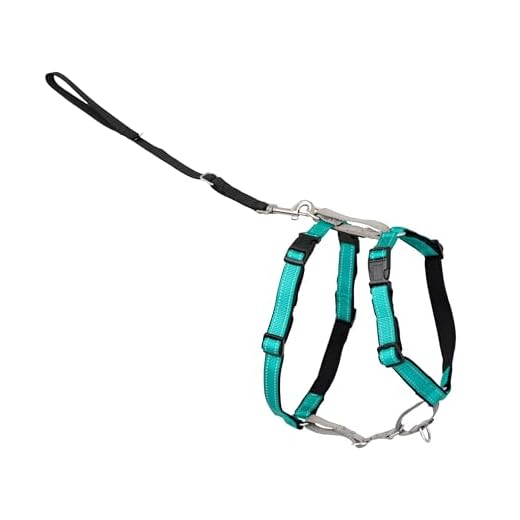 PetSafe 3in1 Harness, from The Makers of The Easy Walk Harness, Fully Adjustable No-Pull Dog Harness,Teal,Small