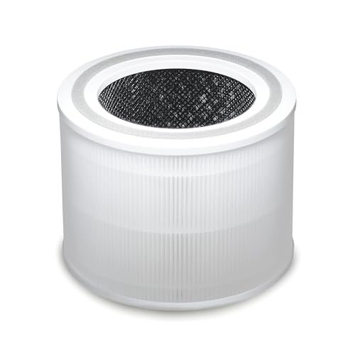 Clorox 12070 Medium Room Filter