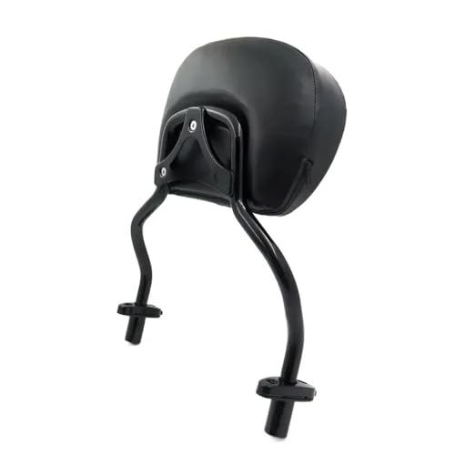 Coussin de dossier arrière amovible moto FLRT avec support lombaire ergonomique