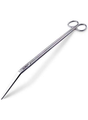 JBL ProScape Tool S 30 curved