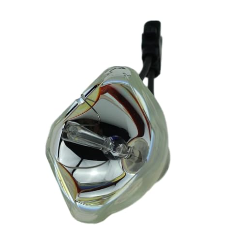 Ampoule V13H010L41 haute performance pour modèles S52 X62 EX50