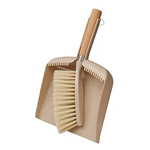 FRCOLOR Mini Besen mit Kehrschaufel, 1 Satz