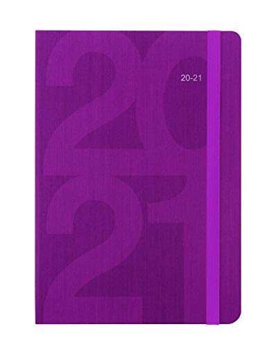 Télécharger Letts Block Agenda scolaire 20 à 21 semaines Rose Format A5 PDF