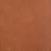 CSB Men's Daily Bible, Brown Genuine Leather, Indexed, Black Letter, Reading Plan, Articles, Callouts, Study Tools, Easy-to-Read Bible Serif Type