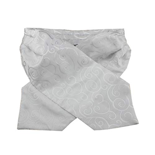 MENDENG Men Purple Paisley Jacquard Woven Silk Cravat Necktie Scarf Formal Ascot