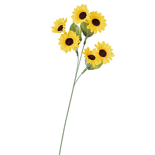 y12{zj[Tt[ԃXv[ 50cm y  Ђ܂ q}  CeA AW XgAEGLXvX z 55-15-11-1_8186-188