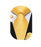 Dubulle Mens Tie Set Solid Paisley Silk Striped Necktie for Men with Cufflinks Tie and Pocket Square,Lemon Yellow