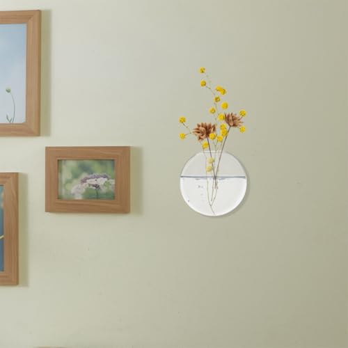 Vases hydroponiques suspendus pour déco de bureau stylée et moderne