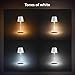 Philips Hue Go Smart Portable Table Lamp, White - White and Color Ambiance LED Color-Changing Light - 1 Pack - Indoor and Outdoor Use - Control with Hue App or Voice Assistant